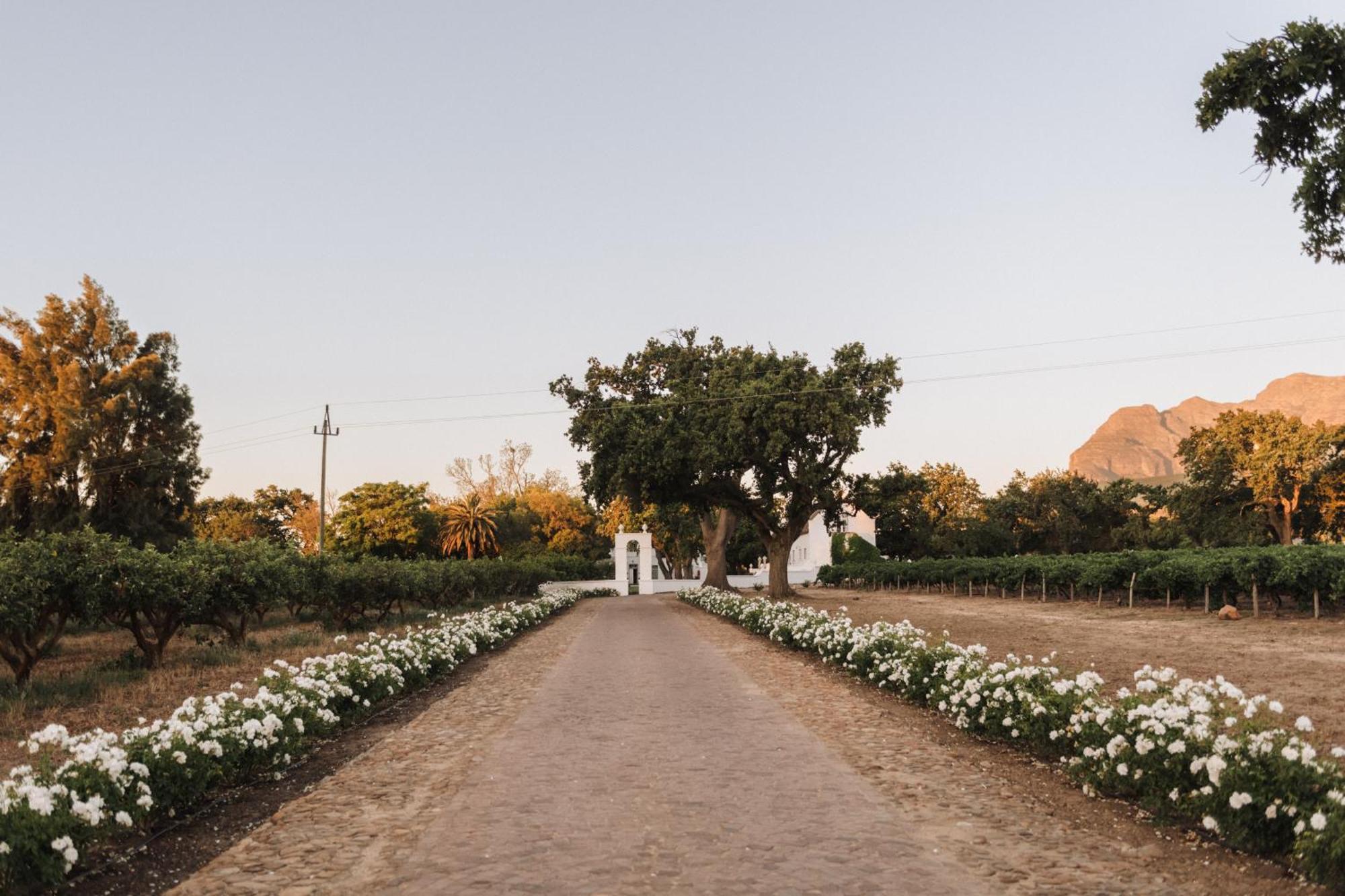 Adara Palmiet Valley Luxurious Boutique Farm Hotel パール エクステリア 写真